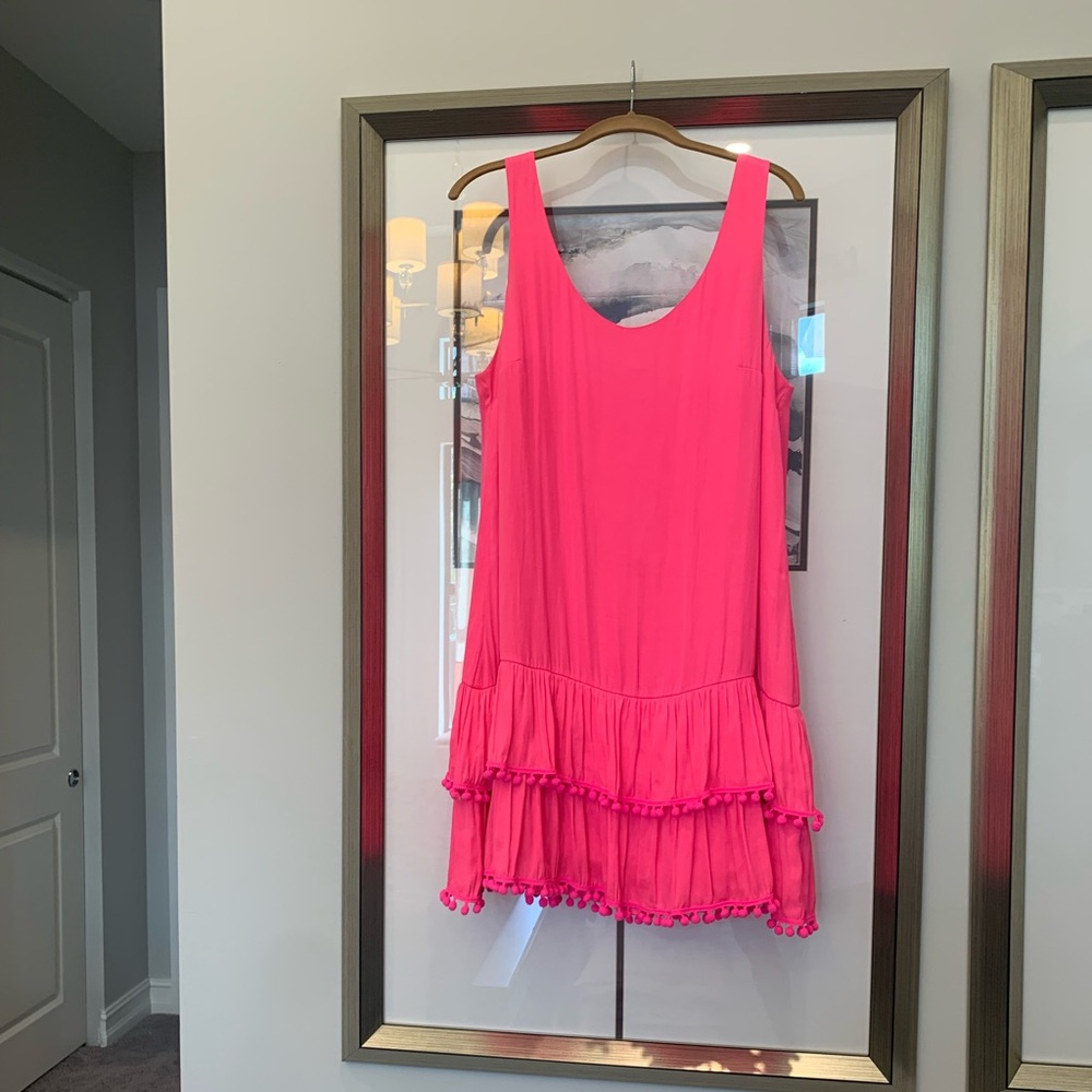 Lilly Pulitzer Natashia Hot Pink Size Large